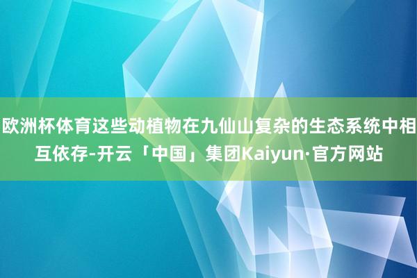 欧洲杯体育这些动植物在九仙山复杂的生态系统中相互依存-开云「中国」集团Kaiyun·官方网站