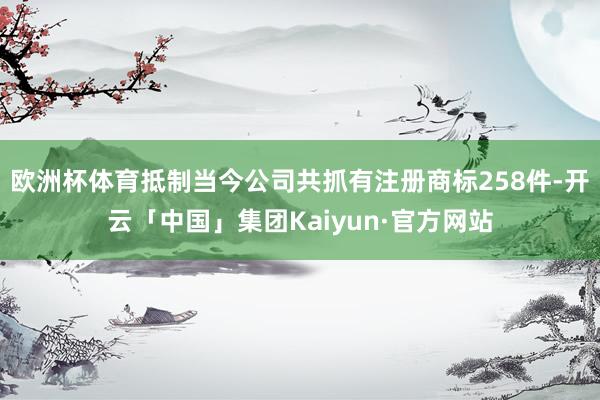 欧洲杯体育抵制当今公司共抓有注册商标258件-开云「中国」集团Kaiyun·官方网站