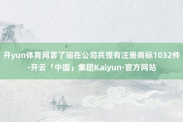 开yun体育网罢了现在公司共捏有注册商标1032件-开云「中国」集团Kaiyun·官方网站