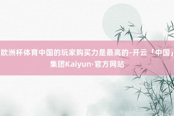 欧洲杯体育中国的玩家购买力是最高的-开云「中国」集团Kaiyun·官方网站
