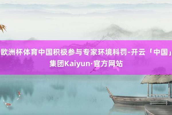 欧洲杯体育中国积极参与专家环境科罚-开云「中国」集团Kaiyun·官方网站