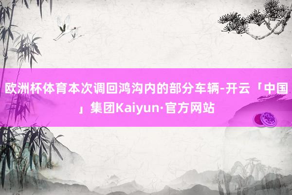 欧洲杯体育　　本次调回鸿沟内的部分车辆-开云「中国」集团Kaiyun·官方网站
