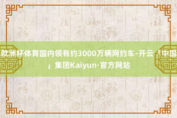 欧洲杯体育国内领有约3000万辆网约车-开云「中国」集团Kaiyun·官方网站
