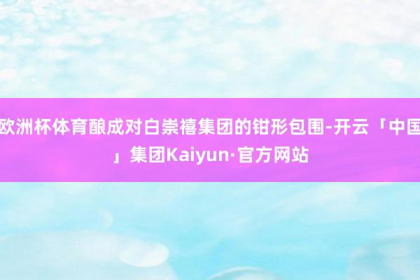 欧洲杯体育酿成对白崇禧集团的钳形包围-开云「中国」集团Kaiyun·官方网站