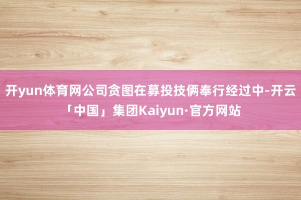 开yun体育网公司贪图在募投技俩奉行经过中-开云「中国」集团Kaiyun·官方网站