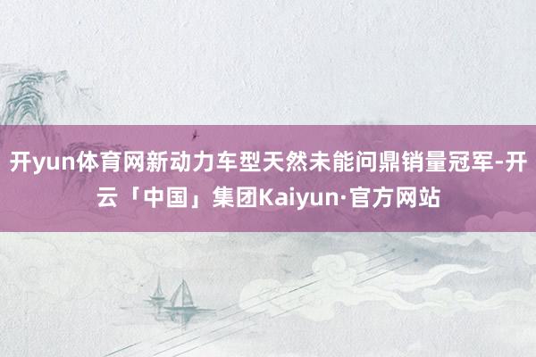 开yun体育网新动力车型天然未能问鼎销量冠军-开云「中国」集团Kaiyun·官方网站