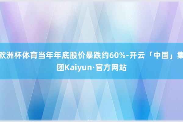 欧洲杯体育当年年底股价暴跌约60%-开云「中国」集团Kaiyun·官方网站