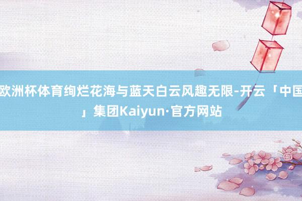 欧洲杯体育绚烂花海与蓝天白云风趣无限-开云「中国」集团Kaiyun·官方网站