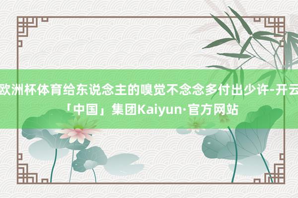 欧洲杯体育给东说念主的嗅觉不念念多付出少许-开云「中国」集团Kaiyun·官方网站