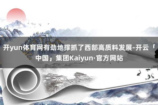 开yun体育网有劲地撑抓了西部高质料发展-开云「中国」集团Kaiyun·官方网站