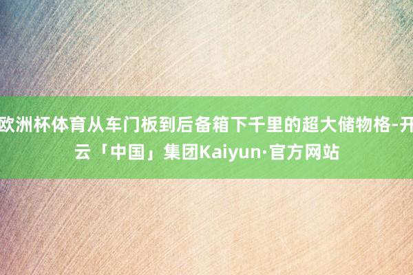 欧洲杯体育从车门板到后备箱下千里的超大储物格-开云「中国」集团Kaiyun·官方网站