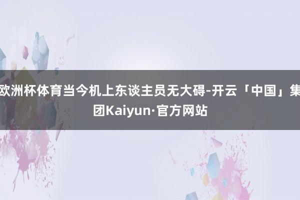 欧洲杯体育当今机上东谈主员无大碍-开云「中国」集团Kaiyun·官方网站