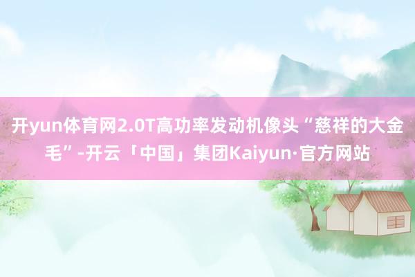 开yun体育网2.0T高功率发动机像头“慈祥的大金毛”-开云「中国」集团Kaiyun·官方网站