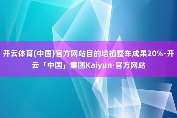 开云体育(中国)官方网站目的培植整车成果20%-开云「中国」集团Kaiyun·官方网站