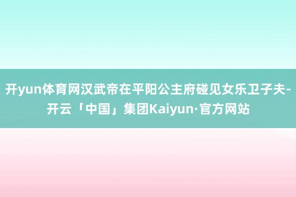 开yun体育网汉武帝在平阳公主府碰见女乐卫子夫-开云「中国」集团Kaiyun·官方网站