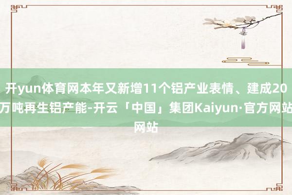 开yun体育网本年又新增11个铝产业表情、建成20万吨再生铝产能-开云「中国」集团Kaiyun·官方网站