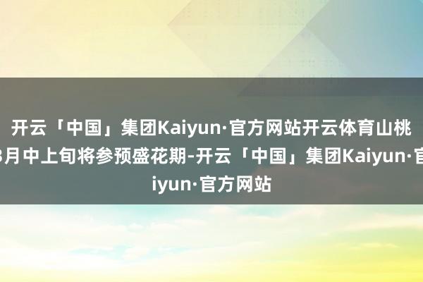 开云「中国」集团Kaiyun·官方网站开云体育山桃花将于3月中上旬将参预盛花期-开云「中国」集团Kaiyun·官方网站