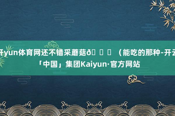 开yun体育网还不错采蘑菇🍄(能吃的那种-开云「中国」集团Kaiyun·官方网站