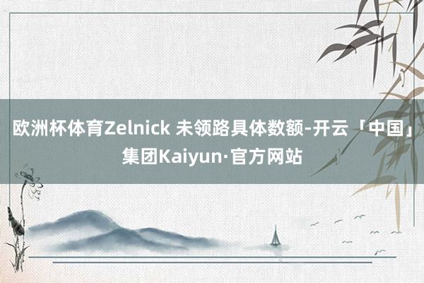 欧洲杯体育Zelnick 未领路具体数额-开云「中国」集团Kaiyun·官方网站