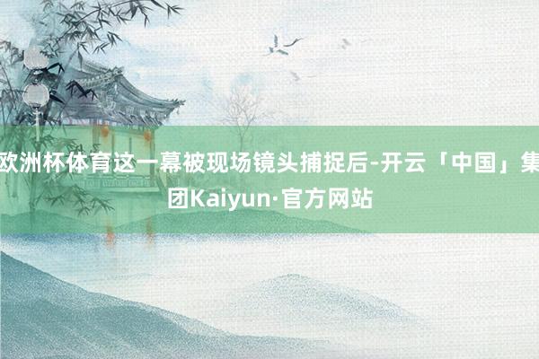 欧洲杯体育这一幕被现场镜头捕捉后-开云「中国」集团Kaiyun·官方网站