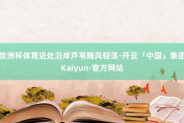 欧洲杯体育近处沿岸芦苇随风轻荡-开云「中国」集团Kaiyun·官方网站