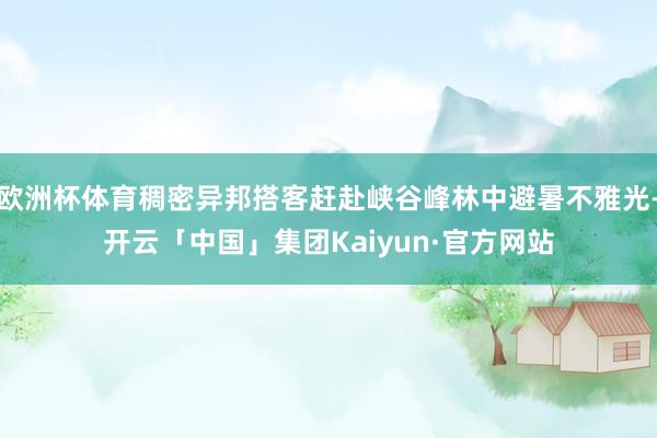 欧洲杯体育稠密异邦搭客赶赴峡谷峰林中避暑不雅光-开云「中国」集团Kaiyun·官方网站