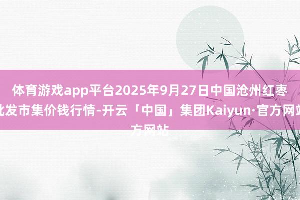 体育游戏app平台2025年9月27日中国沧州红枣批发市集价钱行情-开云「中国」集团Kaiyun·官方网站