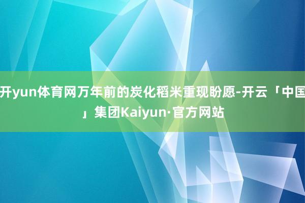 开yun体育网万年前的炭化稻米重现盼愿-开云「中国」集团Kaiyun·官方网站