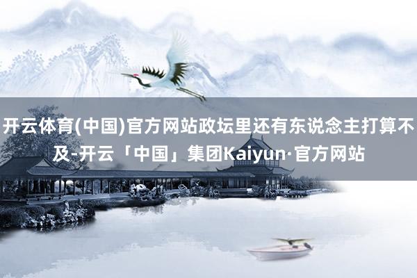 开云体育(中国)官方网站政坛里还有东说念主打算不及-开云「中国」集团Kaiyun·官方网站