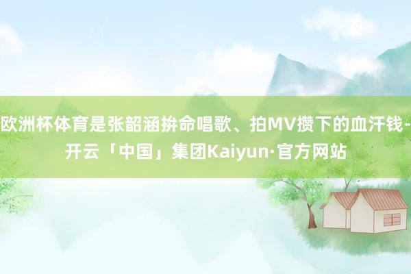 欧洲杯体育是张韶涵拚命唱歌、拍MV攒下的血汗钱-开云「中国」集团Kaiyun·官方网站