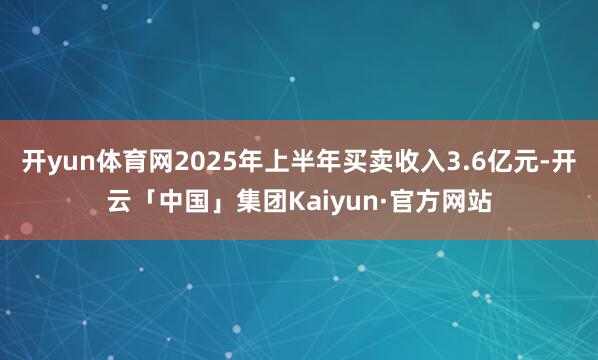 开yun体育网2025年上半年买卖收入3.6亿元-开云「中国」集团Kaiyun·官方网站