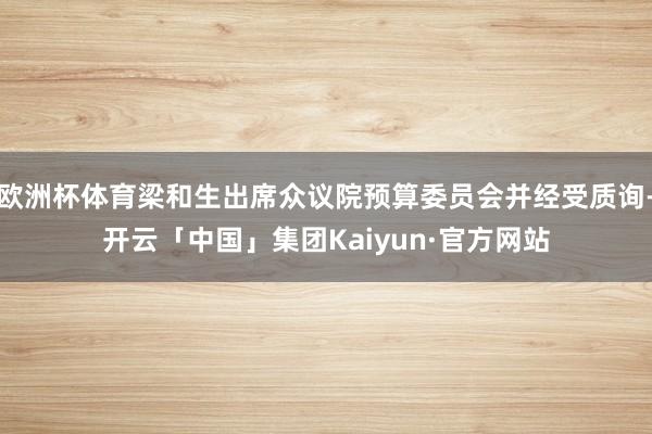欧洲杯体育梁和生出席众议院预算委员会并经受质询-开云「中国」集团Kaiyun·官方网站