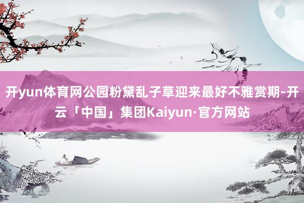 开yun体育网公园粉黛乱子草迎来最好不雅赏期-开云「中国」集团Kaiyun·官方网站