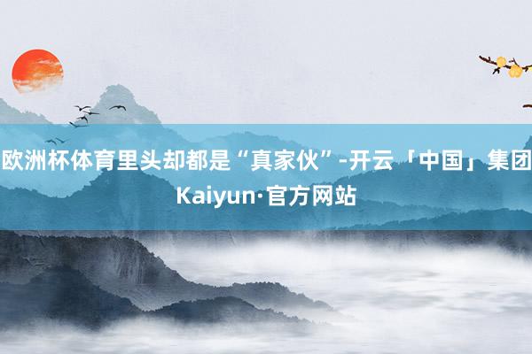 欧洲杯体育里头却都是“真家伙”-开云「中国」集团Kaiyun·官方网站